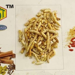 Guangxi Cordyceps